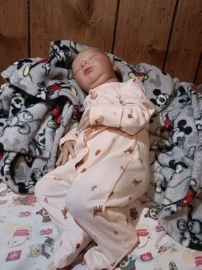Reborn Laura Doll